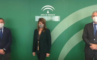 El nuevo delegado de Medio Ambiente conoce las actuaciones del Puerto de Huelva en un encuentro institucional