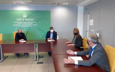 La presidenta de la Autoridad Portuaria de Huelva y el delegado territorial de Fomento abordan temas de interés conjunto