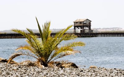 La Autoridad Portuaria de Huelva saca a licitación las obras del proyecto de rehabilitación del Muelle de Tharsis