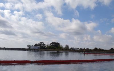 El Puerto de Huelva realiza un ejercicio de simulacro de contaminación marina