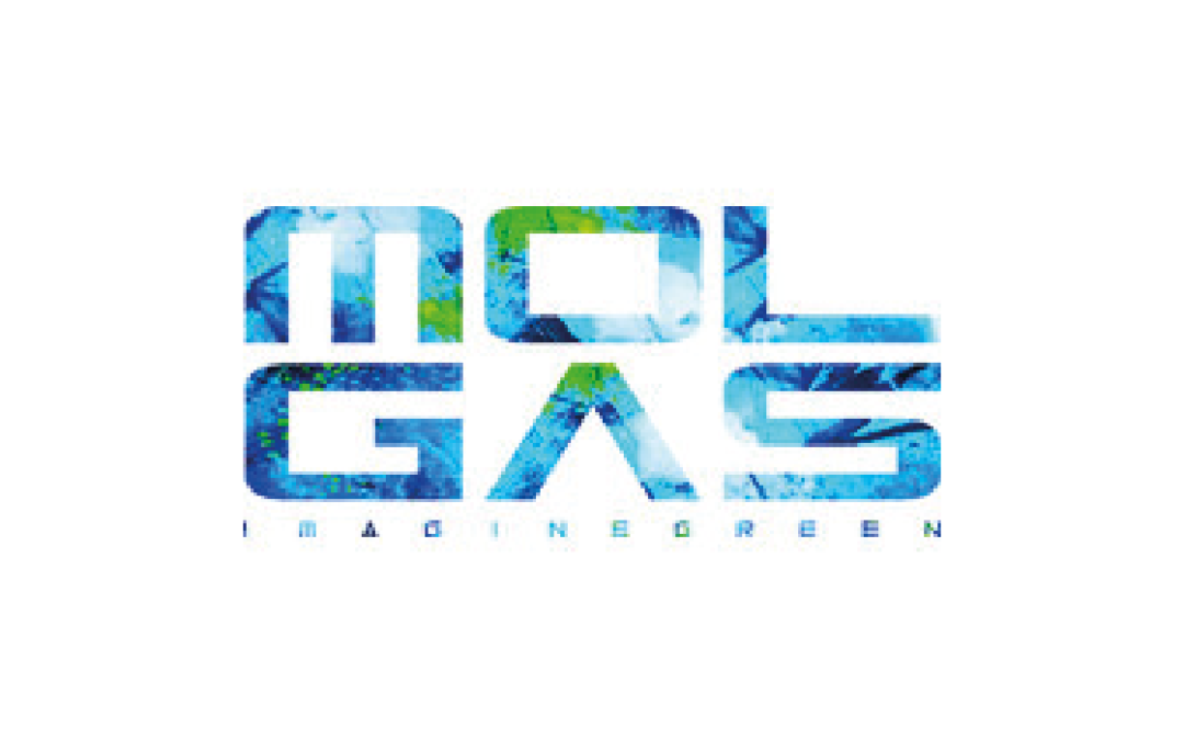 Molgas Energía, S.A.U. (GNL)