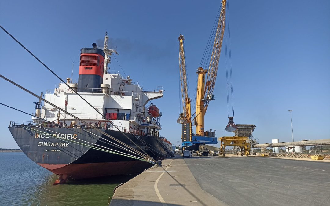 El Puerto de Huelva recibe la primera descarga de harina ecológica en Europa